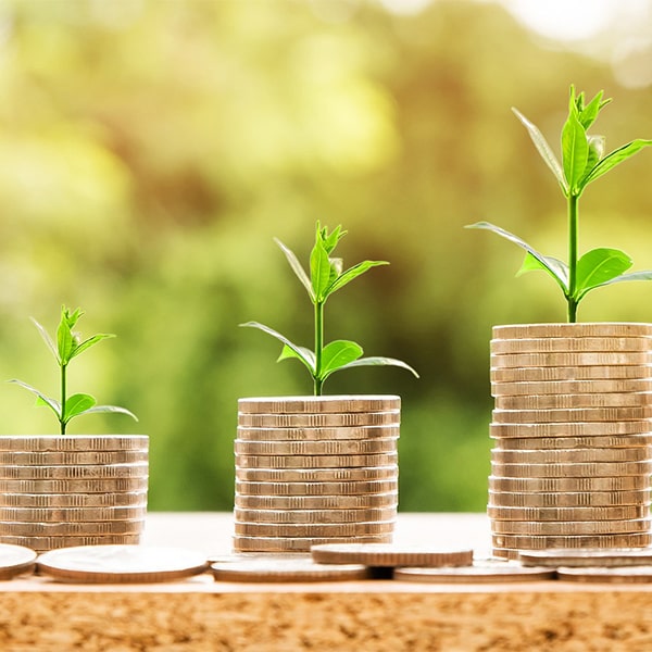 Build Business Credit